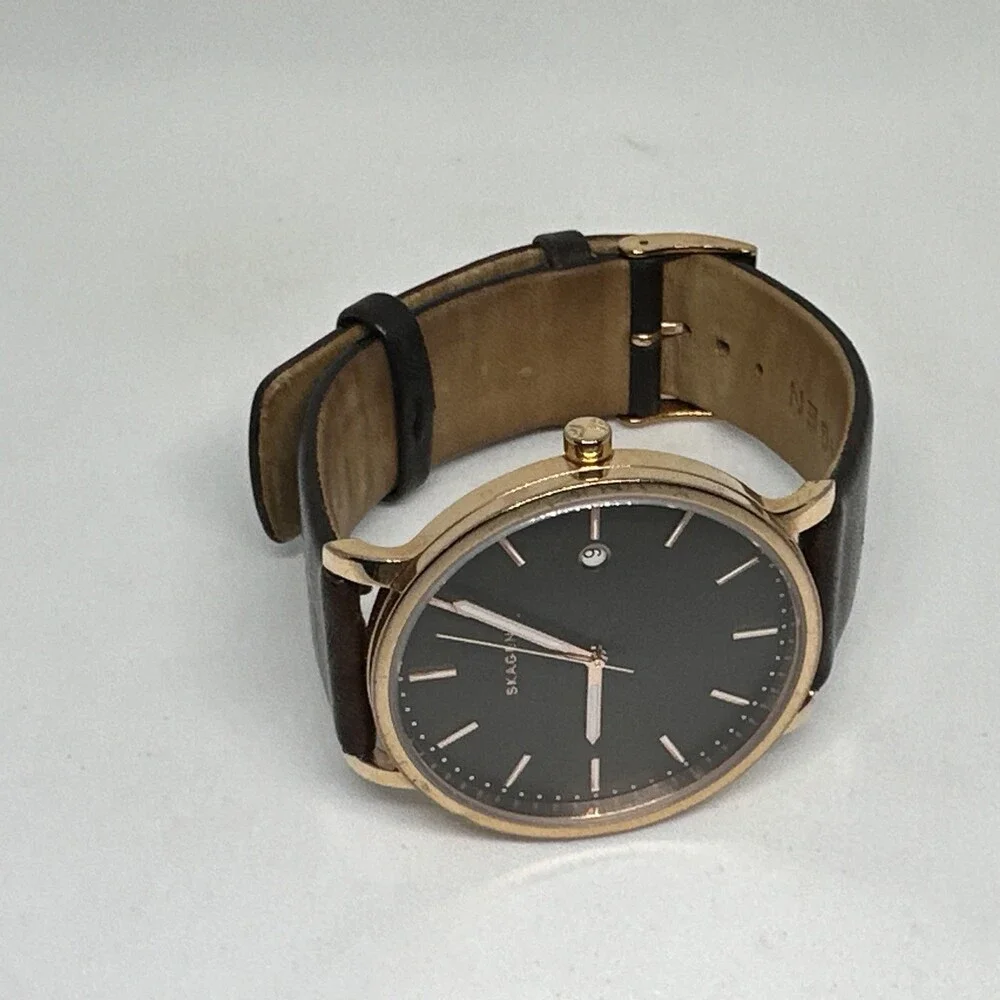 Skagen skw6313 men